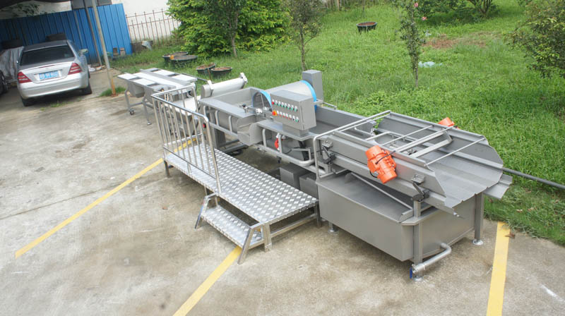 vegetable washing machine