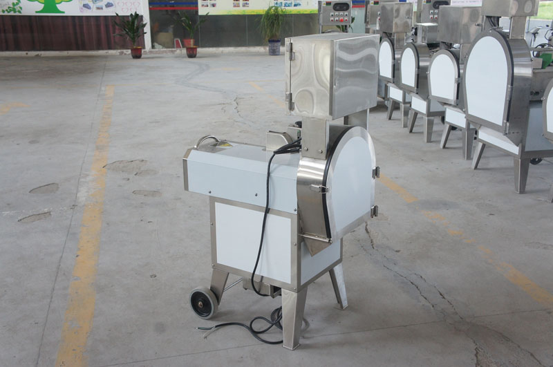 vegetable cutting machine