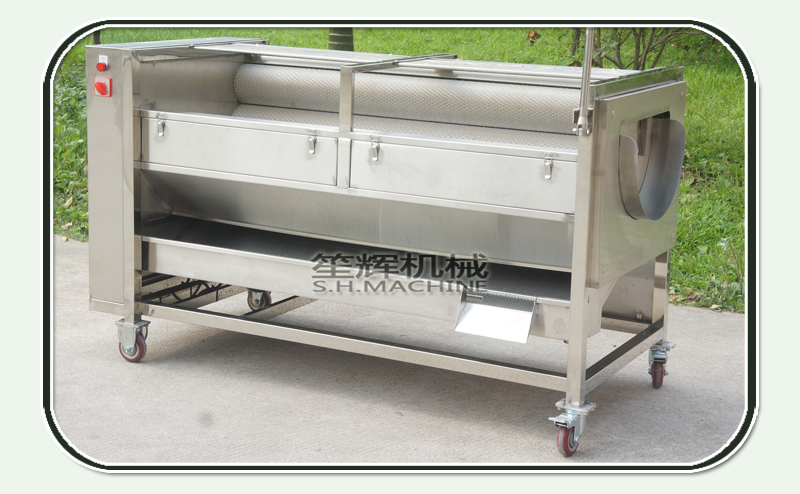 potato scrubber-brush peeling machine