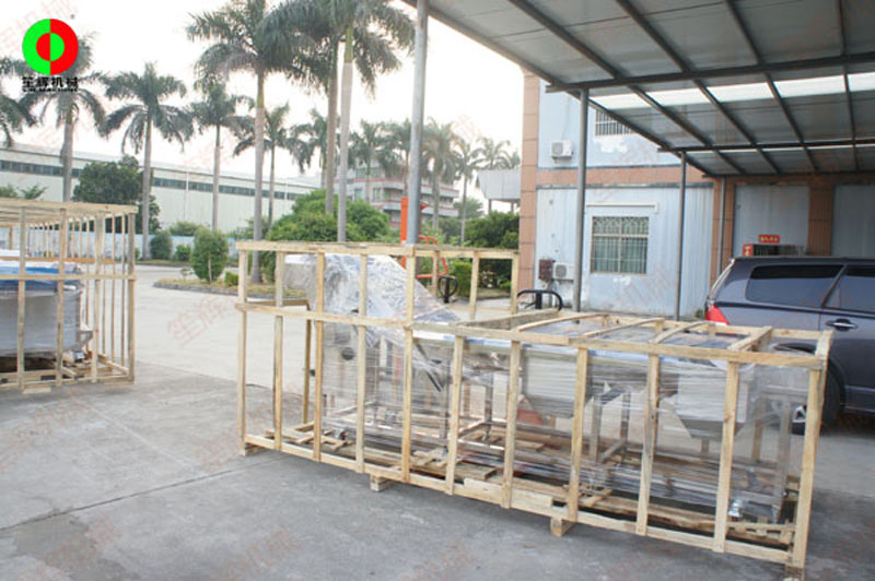 washing fresh vegetables