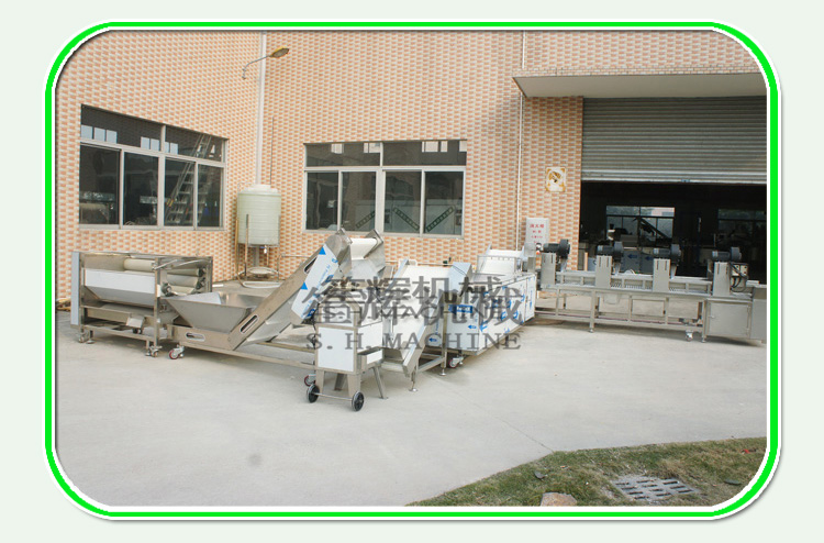 garlic processing machine