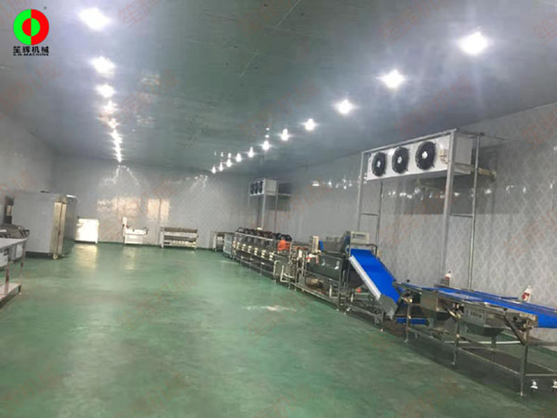 Foshan customer fruit and vegetable processing production line on-site installation completed