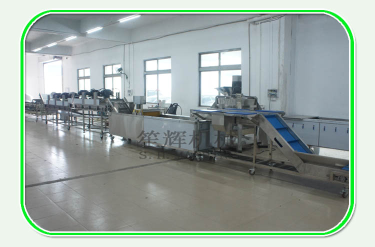 Introduction of the vegetable washing machine in Cherry Tomatoes fruit production line