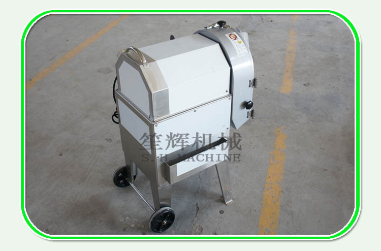 fruit and vegetable slicer and dicer