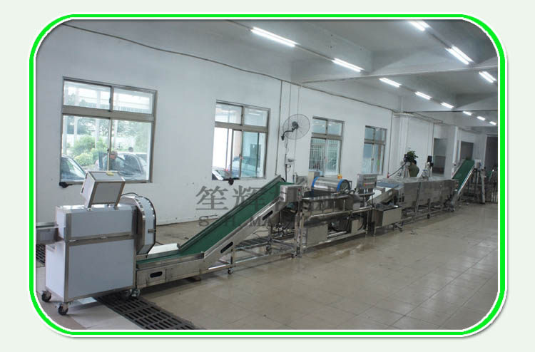 Introduction of the blanching machine in the leek production line