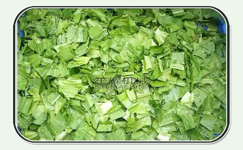 grading machine-vegetable equipment