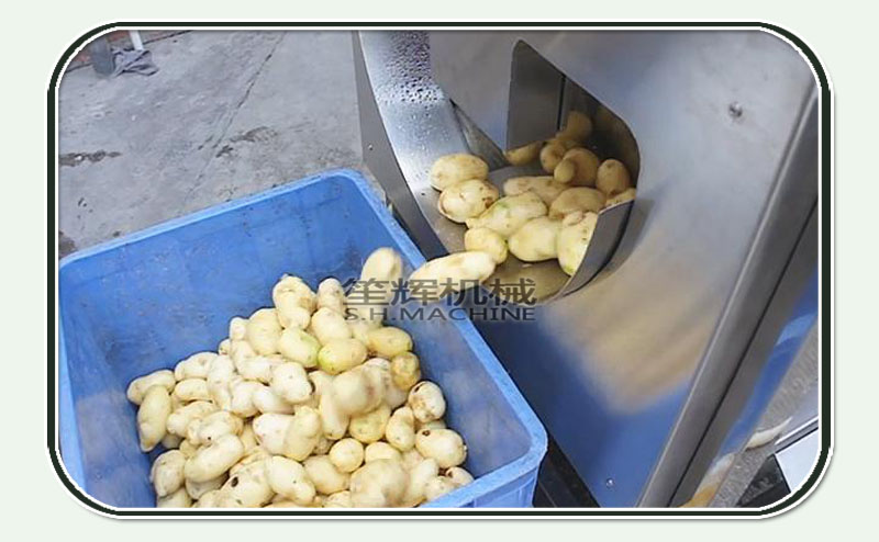 fryer machine-vegetable machine