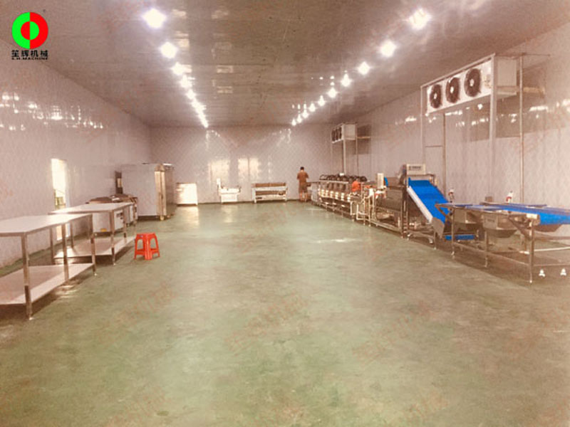 vegetable wash line