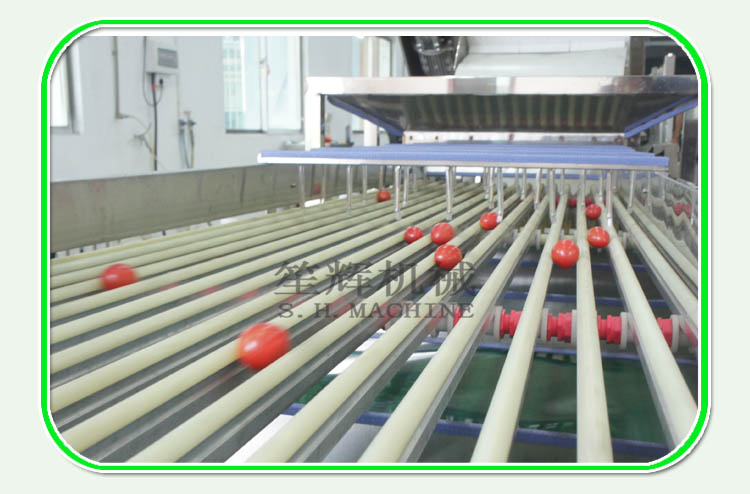food processing line