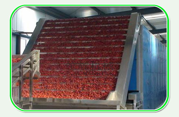 Jujube production line