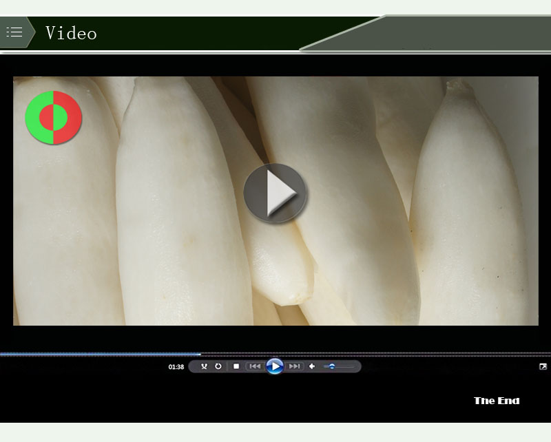 white radish washing machine