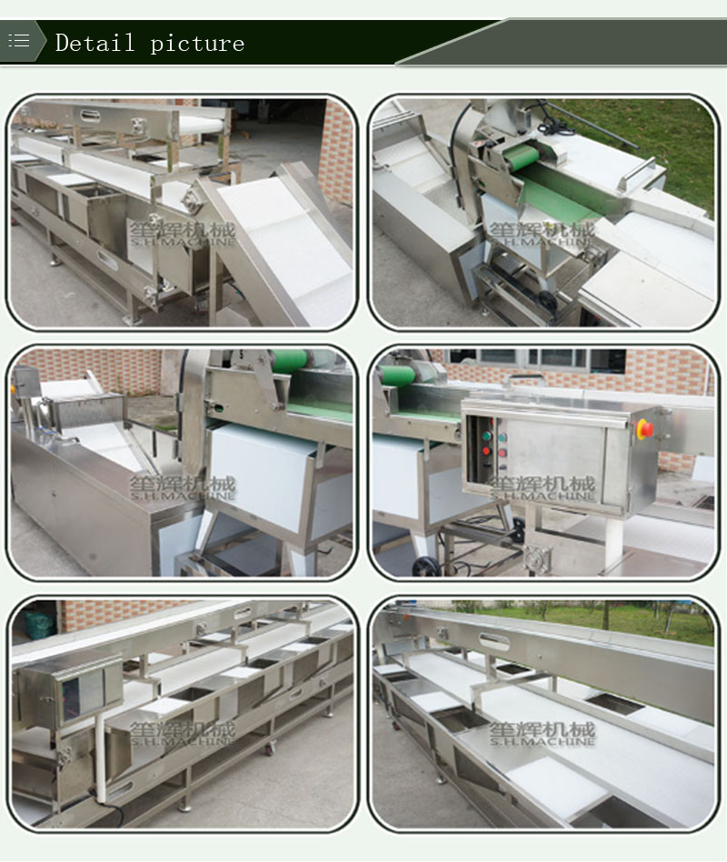 sorting production line-vegetable equipment