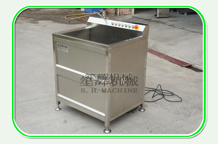 ozone vegetable washer
