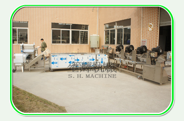 vegetable washing machine