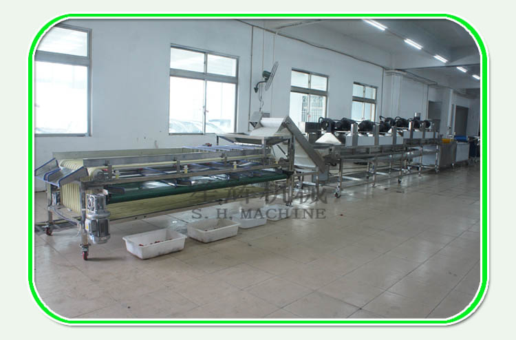 vegetable washing machine