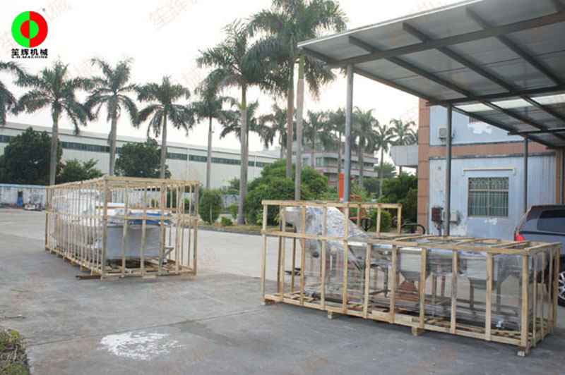 vegetable washing machine