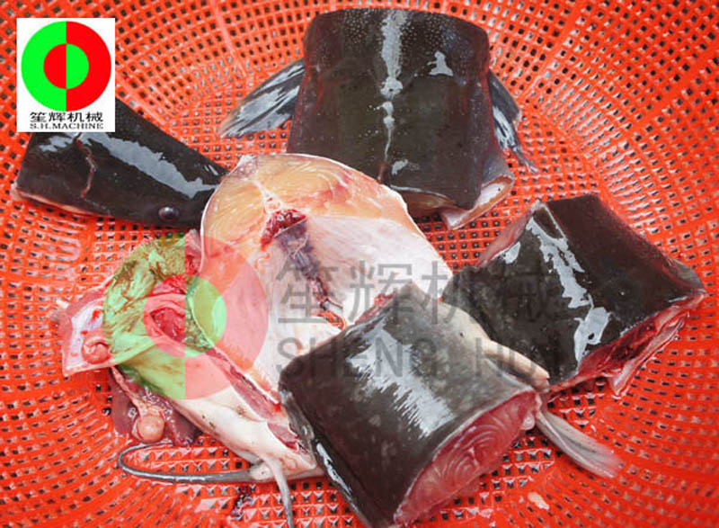 Where do I need to use a fish cutting machine?