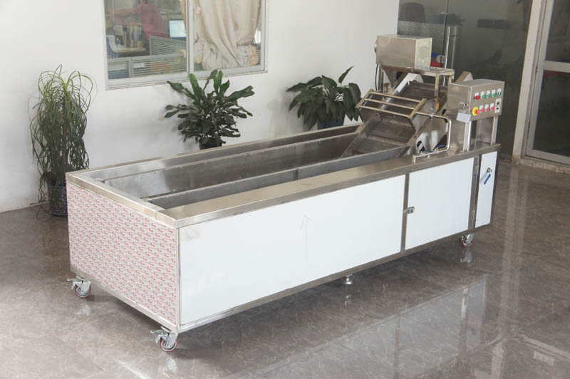 vegetable washing machine