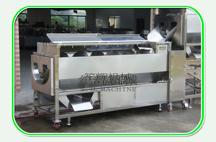 fruit peeler machine