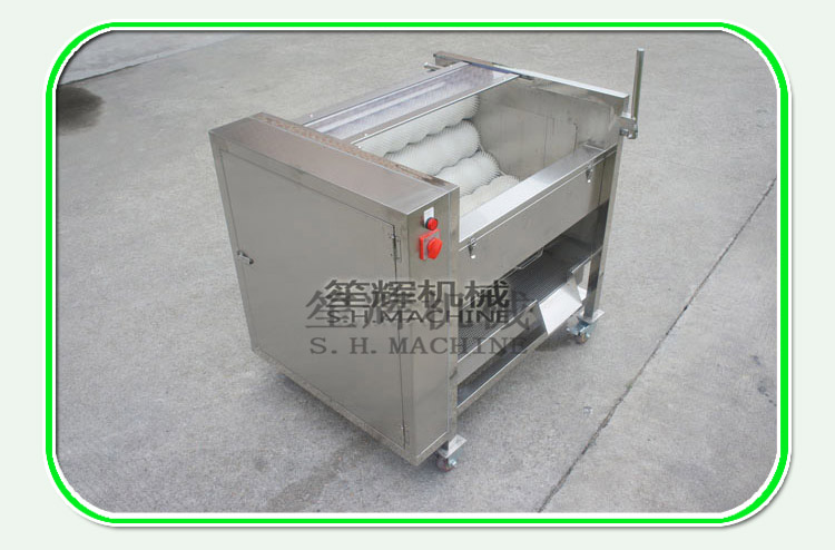 Introduction of Potato Brush Cleaning and Peeling Machine