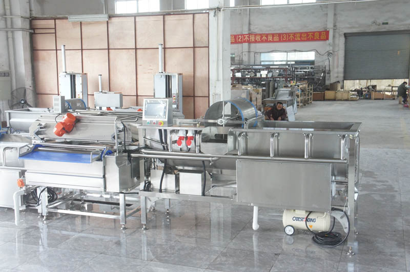 commercial vegetable washer