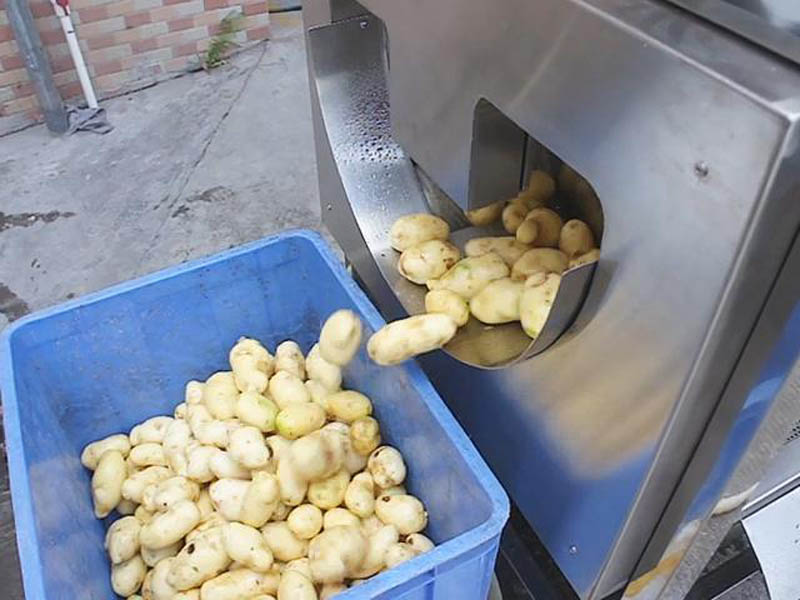 There are so many people who care about vegetable washing machines