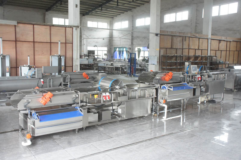 fruit and vegetable washer machine