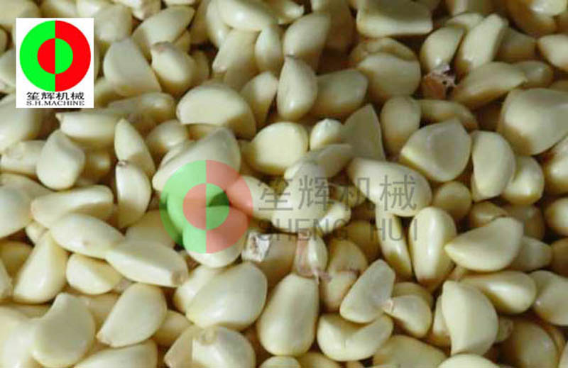How is the quality of garlic peeling machine?