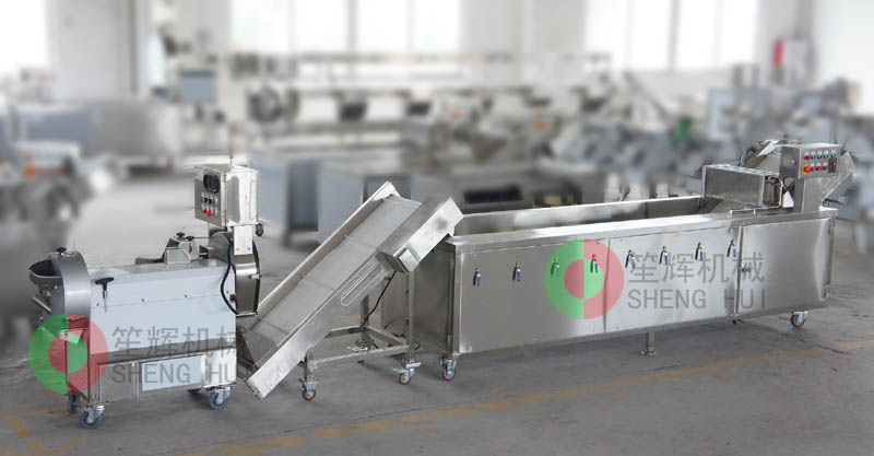 vegetable washing machine